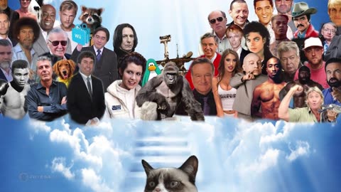 REST IN PEACE, GRUMPY CAT