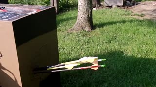 BowTech Assassin with Assassin Arrows