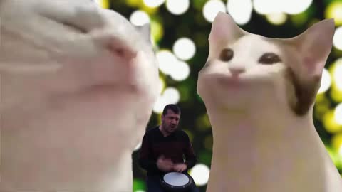 Pop Cat VS Vibing Cat