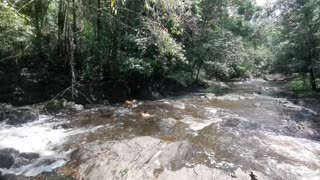 Chilling at the beautiful Fallawatra Creek in West-Suriname