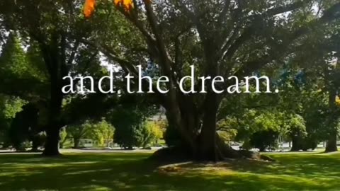 ~ The dreamer and the dream
