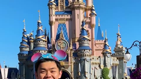 I Sent a Subscriber to Disneyland