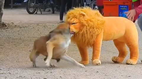 Dog's reaction after seeing fake tiger