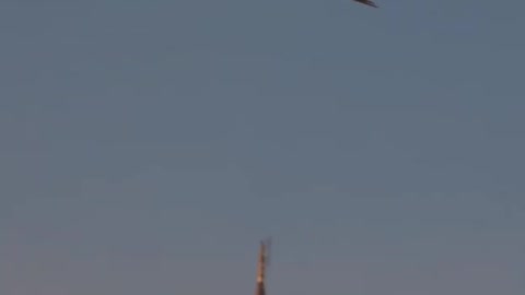 Crowd of eagle flying over the sea