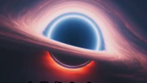 Black Holes