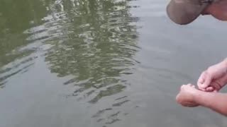 Using a remote controlled boat to fish