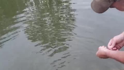 Using a remote controlled boat to fish