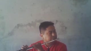 Yiruma - River Flows in You (flute cover)
