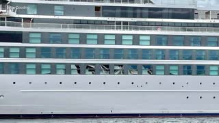 1 dead, 4 injured after 'rogue wave' strikes cruise ship