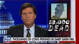 Tucker Carlson on an explosion that left 18,000 cattle dead