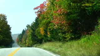 Fall Foliage