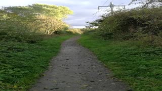 Flooded path. DON'T EXPECT TO SEE ME FALL