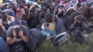 Migrant crisis at Hungarian-Serbian border