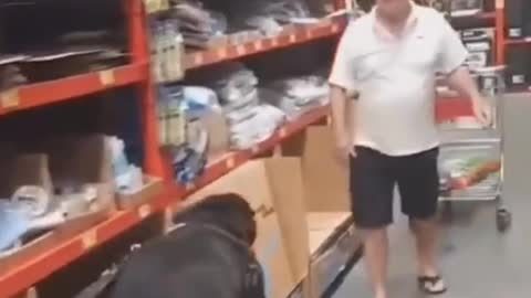 Pup has the sweetest reaction when he see his owner
