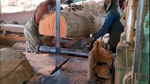 Wood Cutting in Saw Mill | Processing Trees to Wood Pieces 🌲 Reel 4