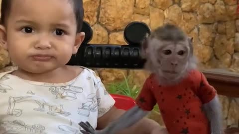 "Baby's First Encounter with a Friendly Monkey!"