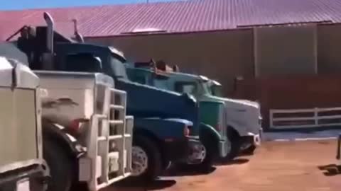 USA Freedom Convoy has started - dozens and dozens of truckers had mobilized (this is in Colorado)