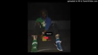 "Rari" by Lil Uzi Vert (Unreleased)