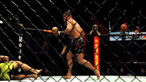 UFC Fight Gamort vs Fiziev