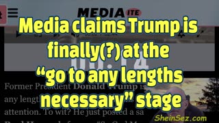 Media claims Trump is now at the “go to any lengths necessary” stage-SheinSez 405