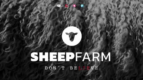 MD GUESTS ON SHEEP FARM STUDIOS PODCAST, OCTOBER 2022