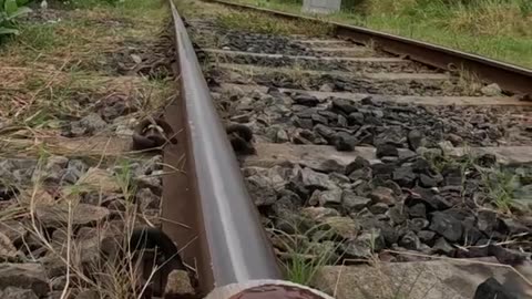 Train VS Donut