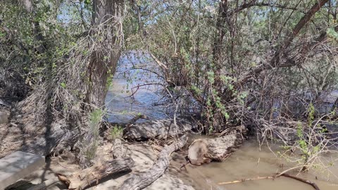 Carson River - Max Level - Rolling A Ranch, Dayton, NV - Part 1