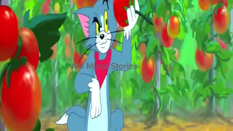 Tom and Jerry Cartoons Episode 2 | Classic Cartoon 😁🤣😁 | Happy Funny Classic Cartoon 🤣😂😝