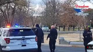 DC Police arrest Ashli Babbitt’s Mom Micki for Jaywalking while protesting.