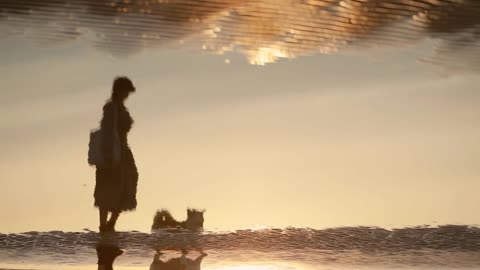 woman owner and corgi dog walking along sea beach on autumn evening spbi