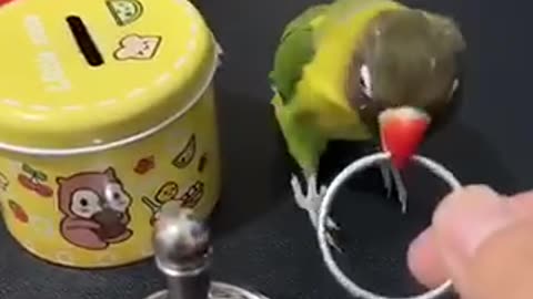Intelligent Parrot