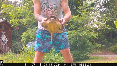 Snapping Turtle caught on my bday! *rumble exclusive*