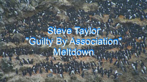 Steve Taylor - Guilty By Association #74