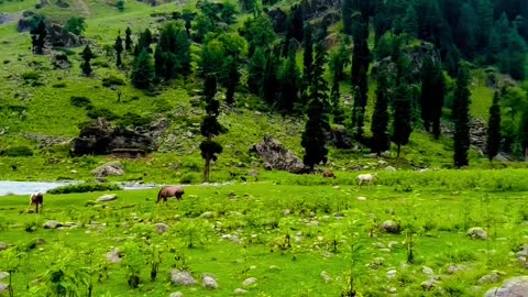 Beautiful Pakistan