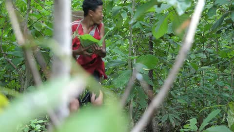 Shrimp eating in jungle, cooking on a rock | Primitive Wildlife-6