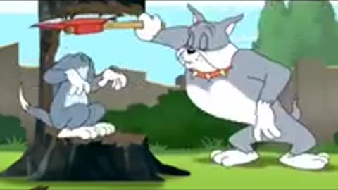 FUNNY TOM AND JERRY VIDEO / Shorts / TOM AND JERRY 💥🎡🗼