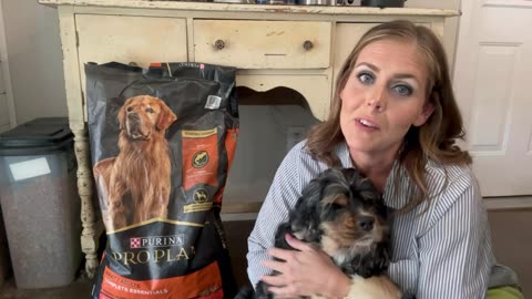 Amazoncom Purina Pro Plan High Protein Dog Food