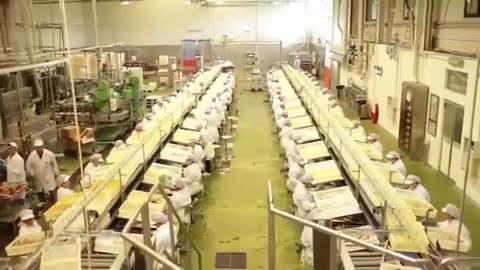 How it made Canned Tuna processing line in Factory