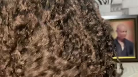 Wig making with Brazilian wool