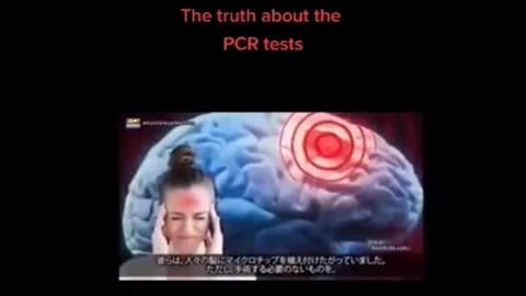 The PCR Test ..