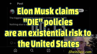 Elon Musk claims "DIE" policies are an existential risk to the United States-SheinSez 401