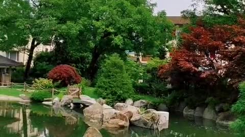 Beautiful Japanese garden