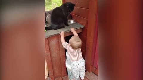 Cute Babies playing with their Dogs and Cats