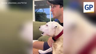 Watch This Dog Go Berserk When Biden Appears on TV, But Loves Trump!