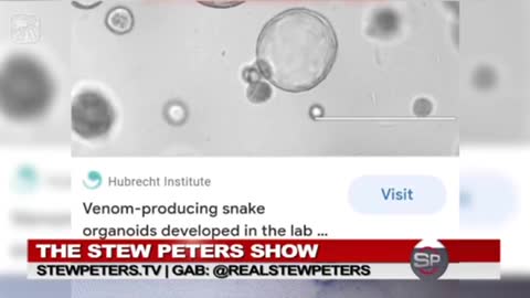 Snake venom peptides in bioweapon?!