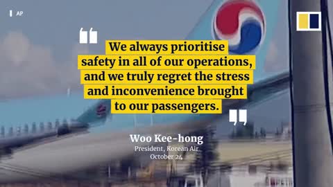 Korean Air plane with 173 on board damaged after overshooting runway in Philippines