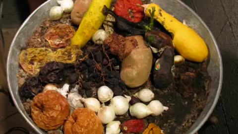 Vegetable and Fruit Decomposition, Time-lapse