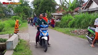 KIRAB CAN MACANAN SINGO MANGGALA DAN DRUMBAND MAONG KEMBAR DI MENGEN