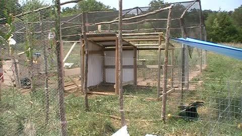 Goat Shed Expansion