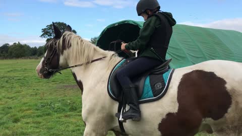 Kid on Horseback Reads Book While Horse Walks in Field